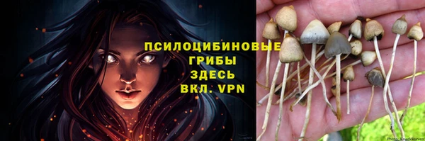 ешки Пестово