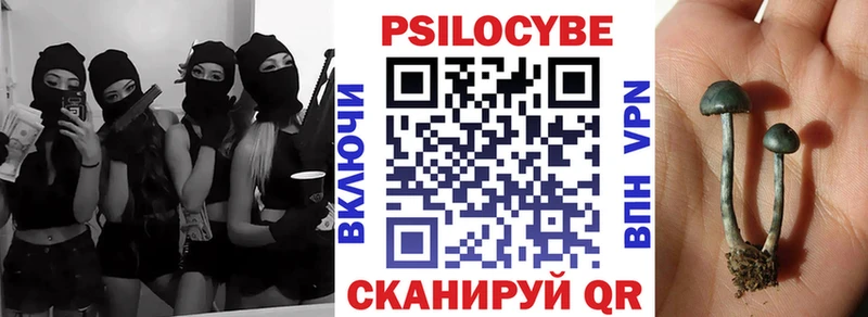Псилоцибиновые грибы Magic Shrooms  это клад  Кувандык 