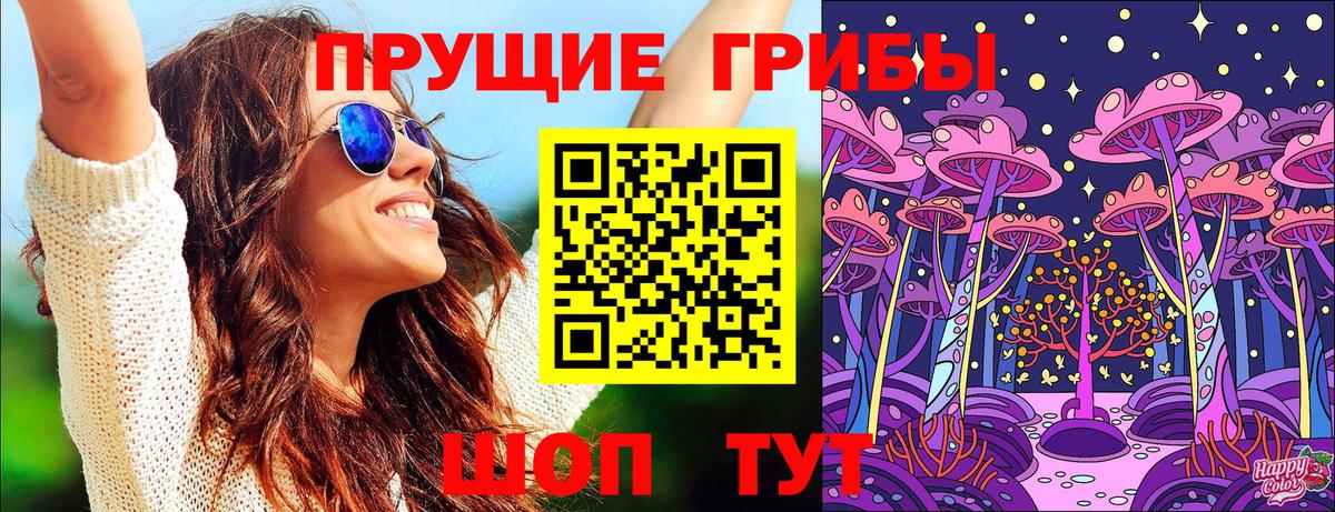 Кувандык  Псилоцибиновые грибы Cubensis  Вход с VPN  Псилоцибиновые грибы GOLDEN TEACHER 