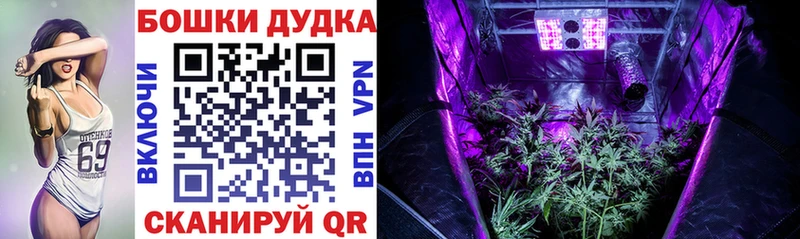 Каннабис конопля  купить наркотик  Кувандык 